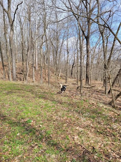 Celtic Glen Farm Stay - Lower Vista
