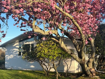 Montauk beach house, all amenities. Walk to town or beach.