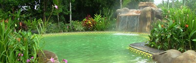 Luxury Rainforest King Room