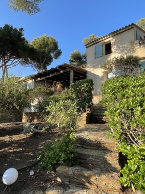 Stroll along the serene stone pathway to a charming rustic building surrounded by lush greenery and natural beauty.