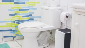 A bathroom with a toilet, a roll of toilet paper, and a striped shower curtain. - Great location and quiet. Excelente ubicacion y tranquilo. Internet Netflix. A/C (Miraflores)