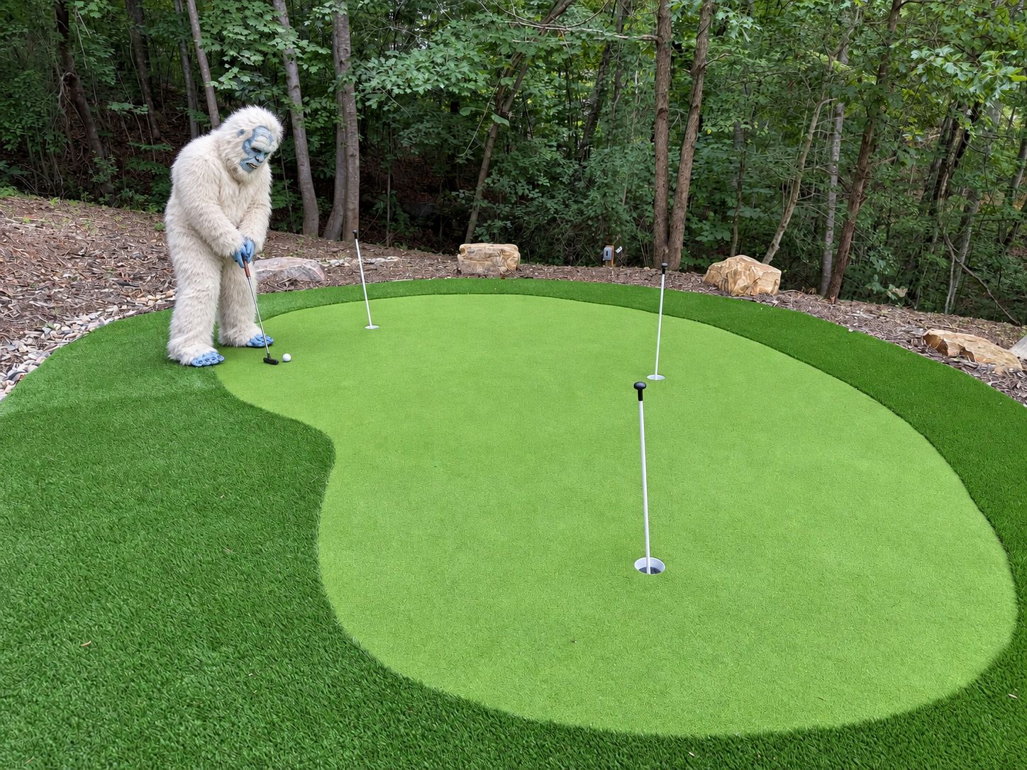 A golf putting green with a flagstick, surrounded by trees and a wooded area.