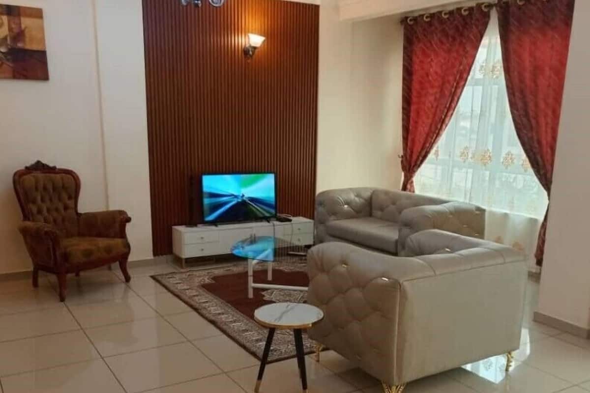 43 インチの薄型テレビ (衛星放送視聴可)