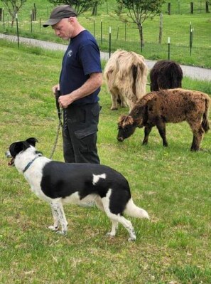 Aceita animais de estimação