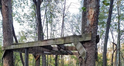 Celtic Glen Farm Stay - Upper Vista