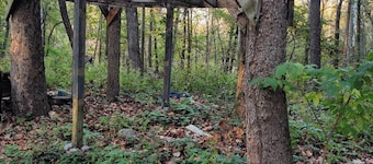 Celtic Glen Farm Stay - Upper Vista