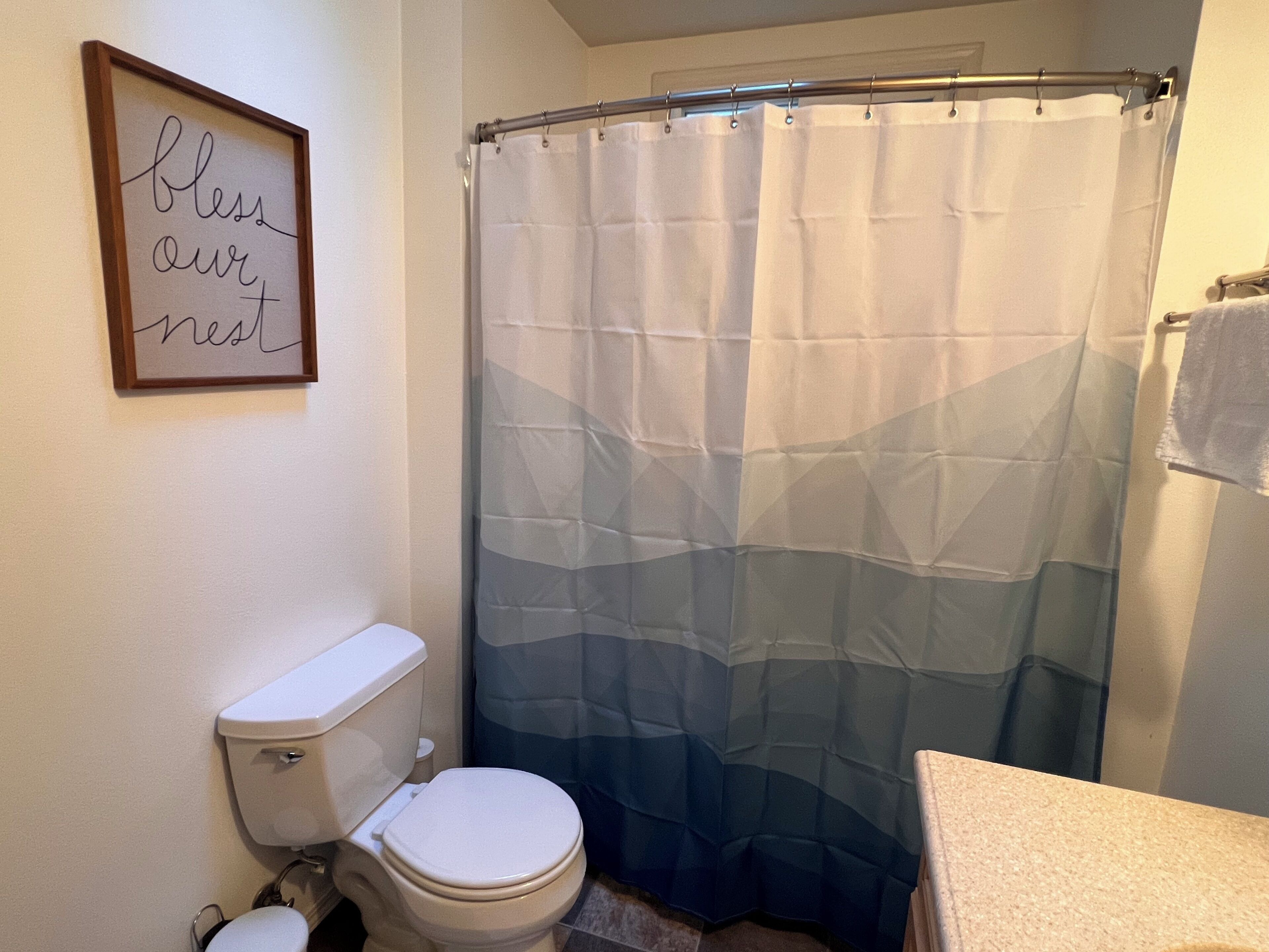 A bathroom with a toilet, a shower curtain, and a framed sign on the wall.