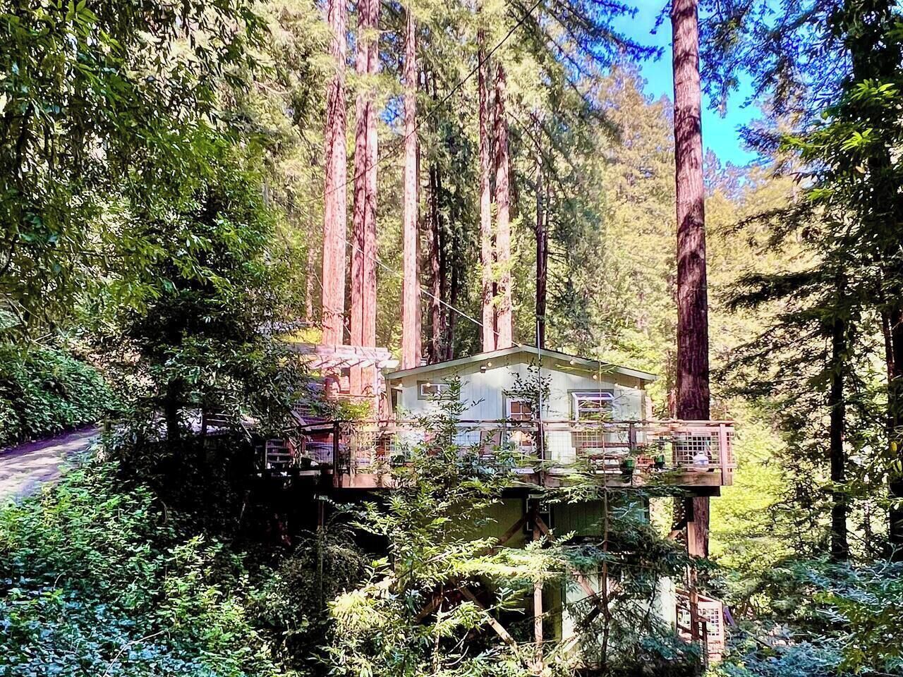 A treehouse with a deck, surrounded by tall trees and dense foliage.