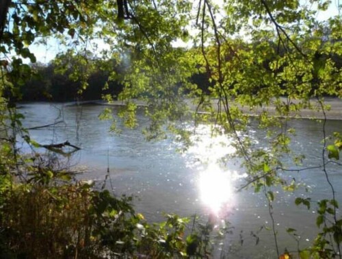 Celtic Glen Farm Stay - Shady pasture overlook
