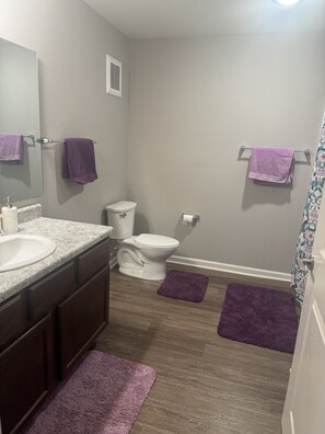 Secadora de cabello, toallas, jabón, shampoo