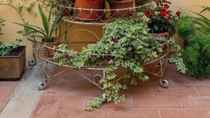 A Buddha statue in a garden setting with potted plants and a sign reading "Zen Island". - Zen Island downtown Florence, new apartment for 6 (Firenze)