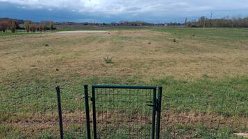 An open field with a metal gate in the foreground.