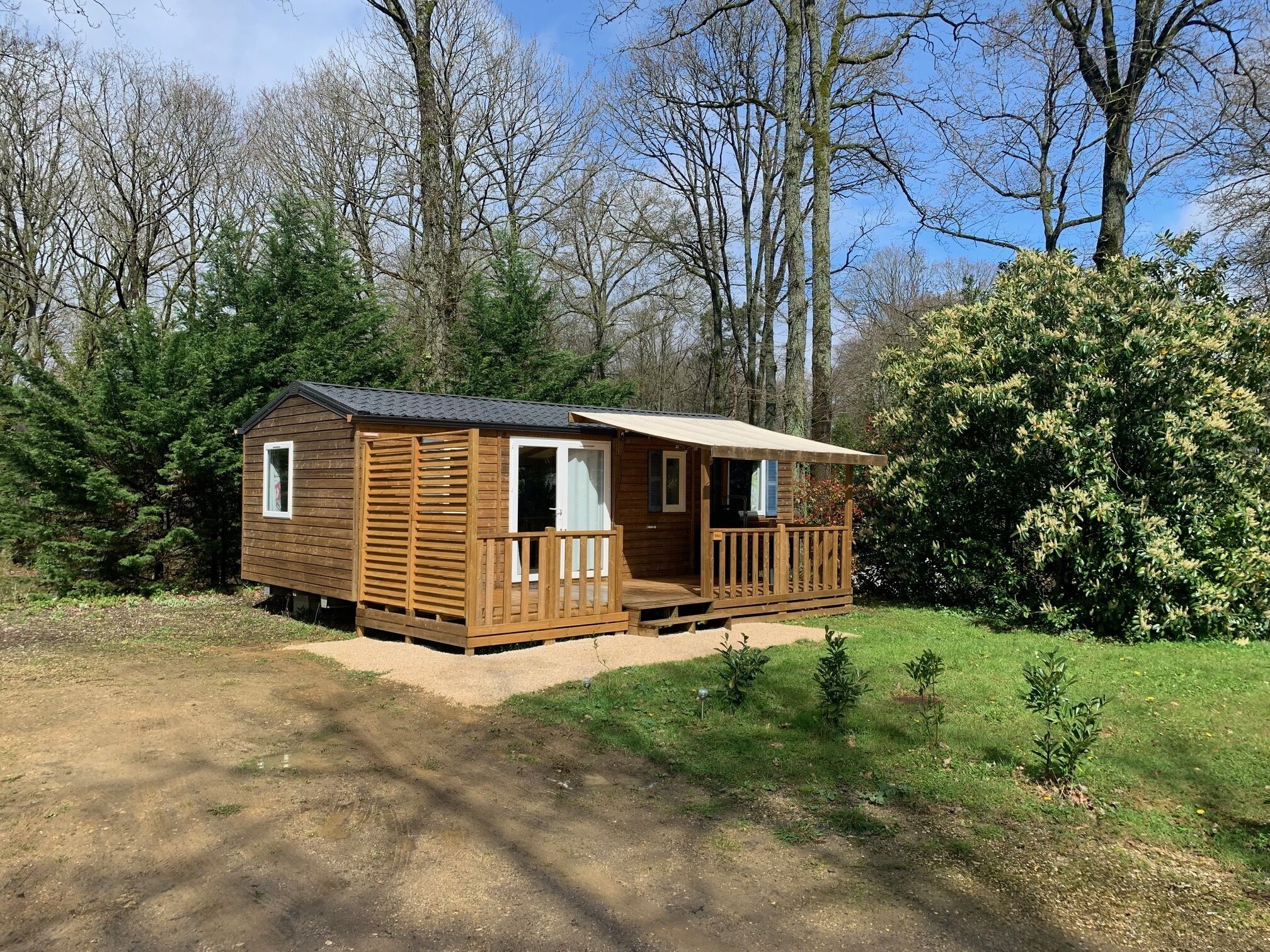 Een houten hutje met een veranda, omringd door bomen en begroeiing.