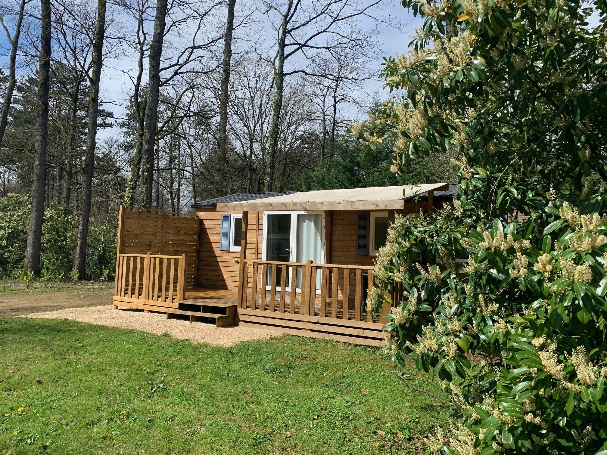 A wooden cabin with a deck, surrounded by trees and greenery.
