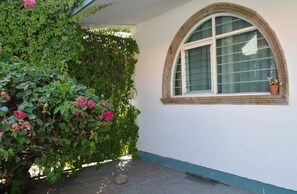 Stunning arched window frames a view of the outdoors, complemented by a potted plant on the windowsill.