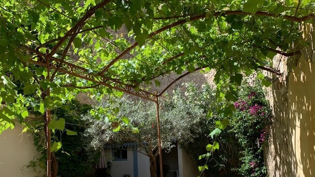 Ein Innenhof mit einer Pergola, die dicht mit Grün bewachsen ist, einem Kiesweg und einem Tisch mit Stühlen.