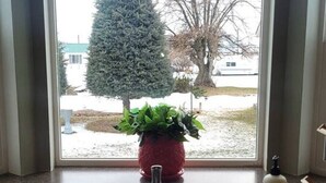 Une cuisine avec un évier en acier inoxydable, une plante en pot et une bouteille posée sur le comptoir.