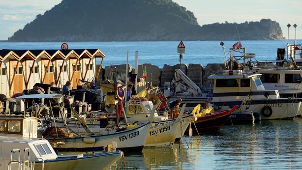 Un port de plaisance avec des bateaux amarrés, un bâtiment doté d’un toit en pente et, au loin, une île montagneuse.