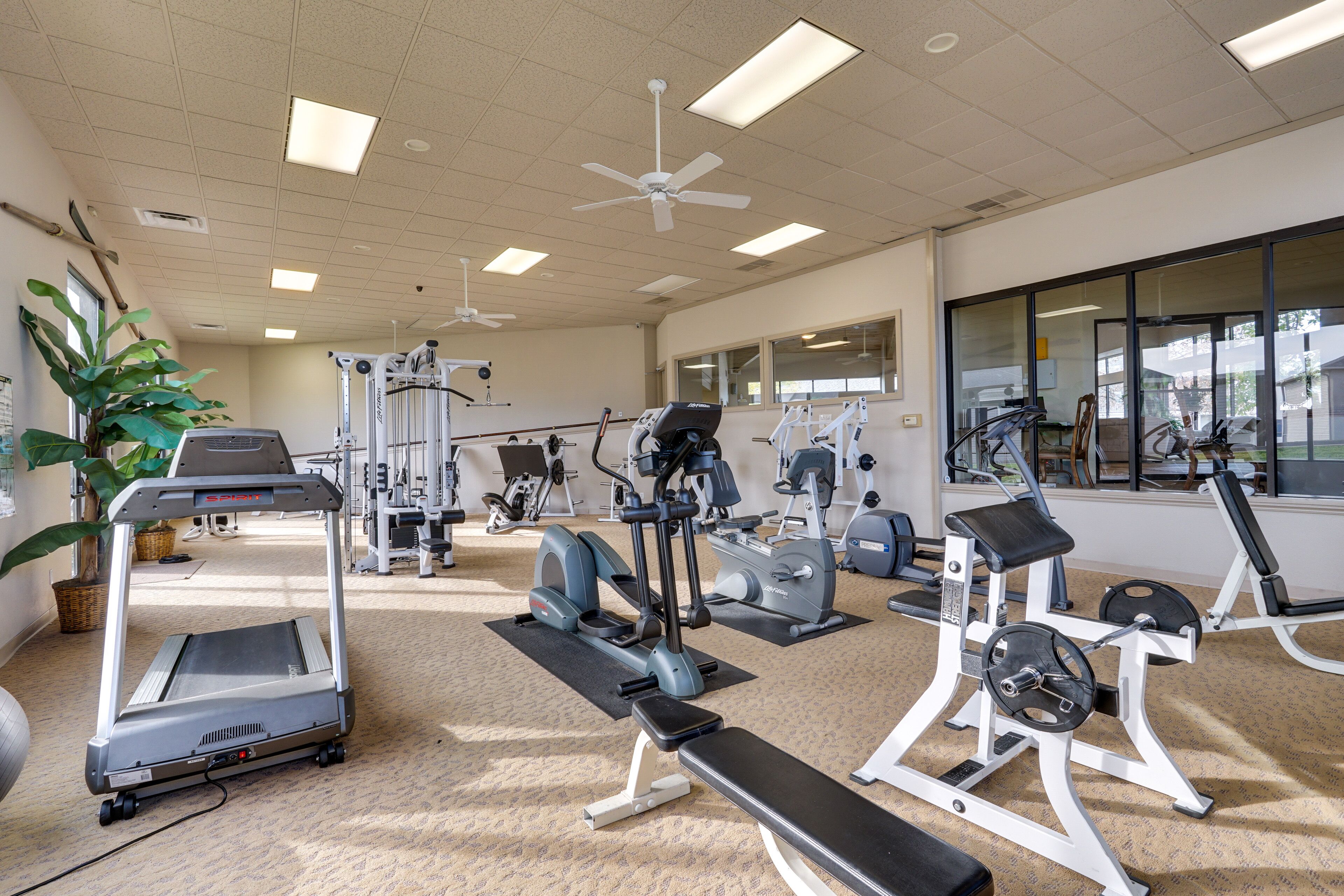 Ein Fitnessstudio mit Laufbändern, Kraftgeräten und Trainingsmatten.