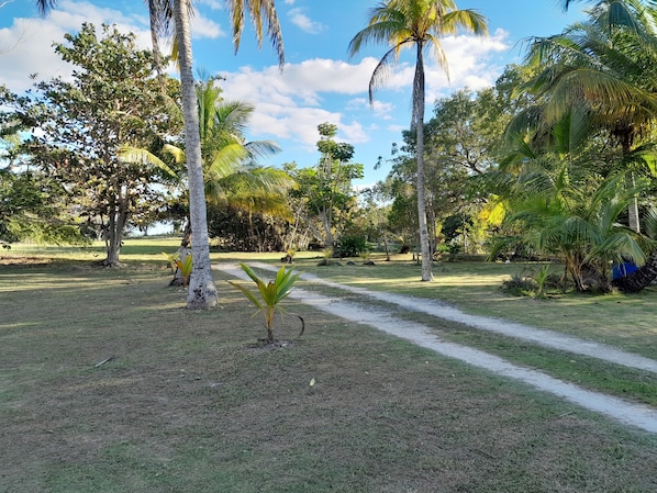 Front of property