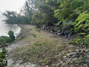 A natural landscape with a rocky shoreline, dense greenery, and a body of water. - PARADISE CREEK COTTAGES (Andros Town)
