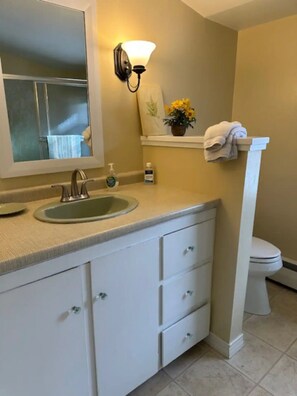 Shower, hair dryer, towels