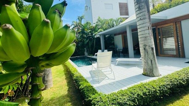Ein modernes Haus mit Pool, Terrasse und einer Bananenstaude im Vordergrund.
