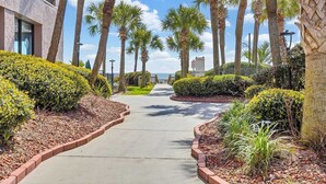A pathway lined with palm trees and manicured bushes, leading towards a building with a modern architectural style. - Direct Ocean Front w/washer and dryer! (Myrtle Beach)