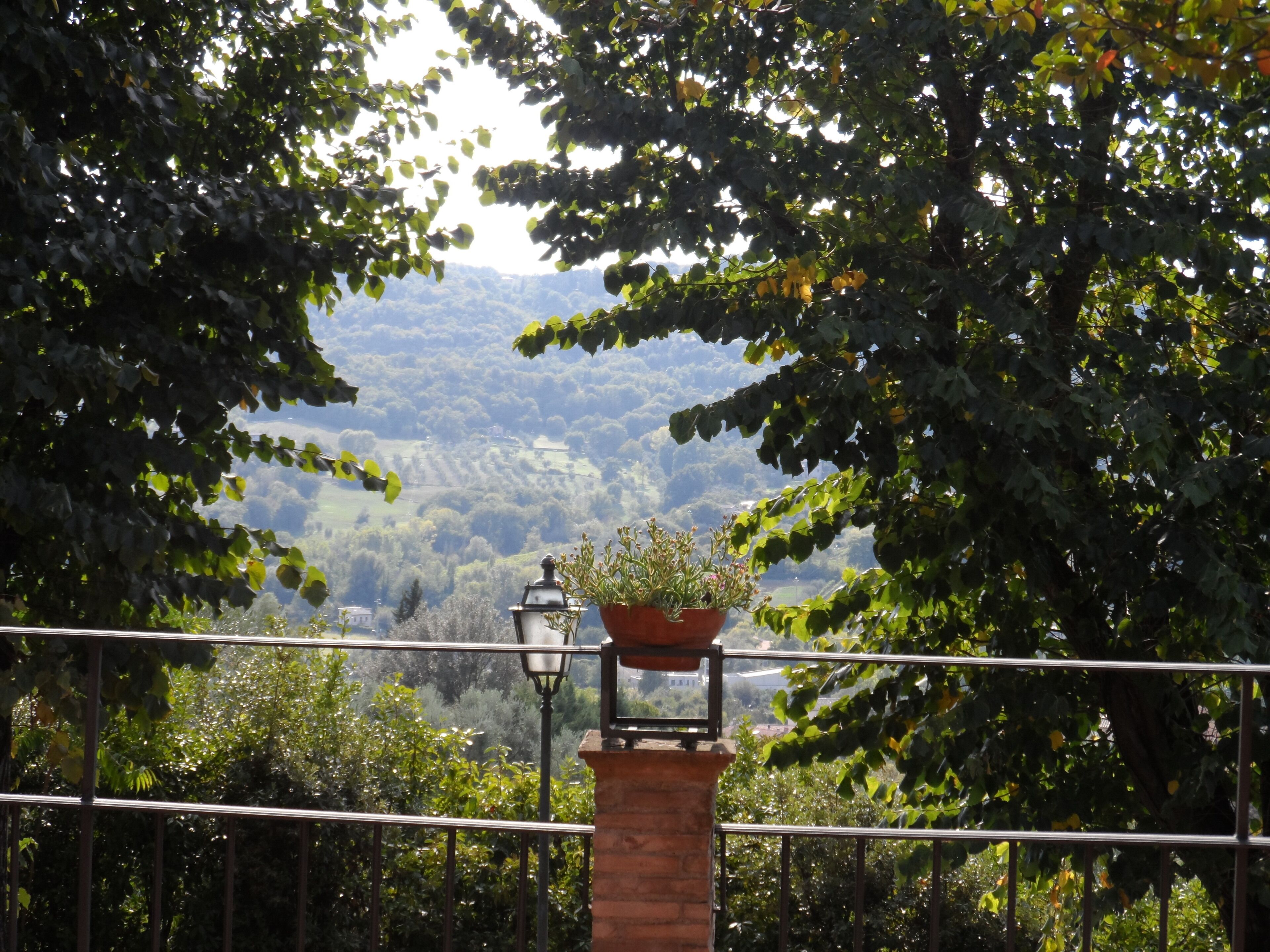 A balcony with a view of a mountainous landscape, a potted plant, and a street lamp.