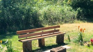 A wooden bench with a backrest and seat, supported by two tree stumps, in a grassy area with some flowers and dense foliage in the background. - Cabin Getaway (Cashmere)
