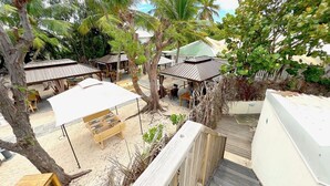 A beachside resort with outdoor seating areas, palm trees, and a wooden deck.