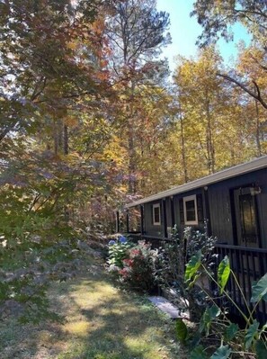Property grounds - Bungalow in small and quiet cul-de-sac, pet-friendly.
 (Dahlonega)
