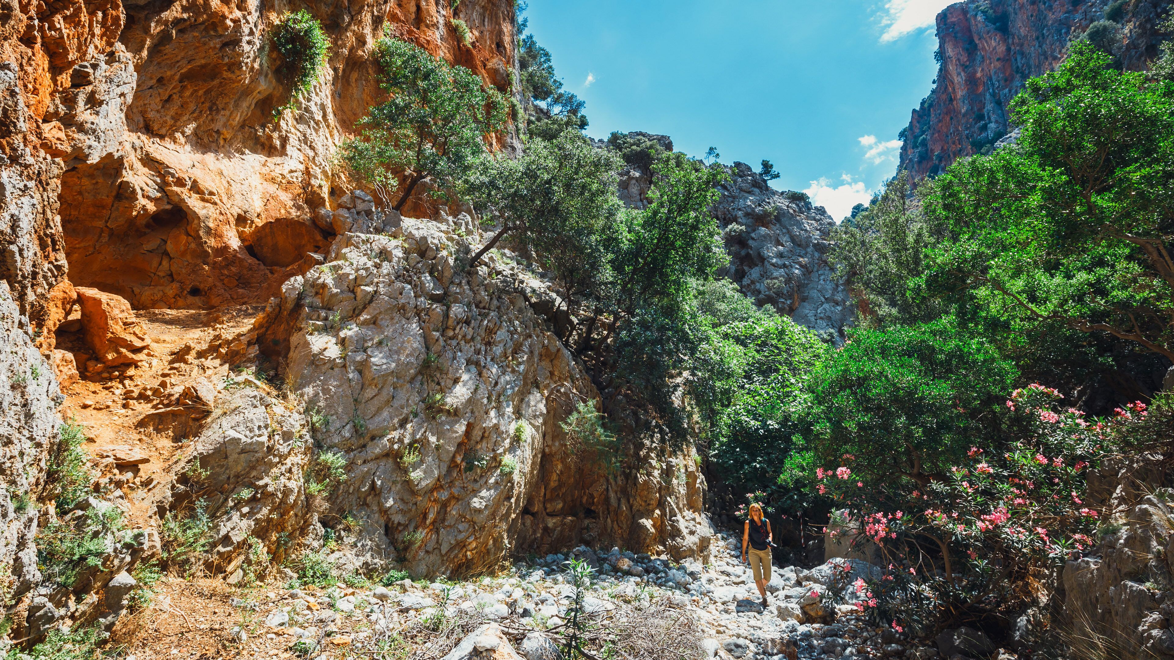 A rocky canyon with rugged cliffs and sparse vegetation.