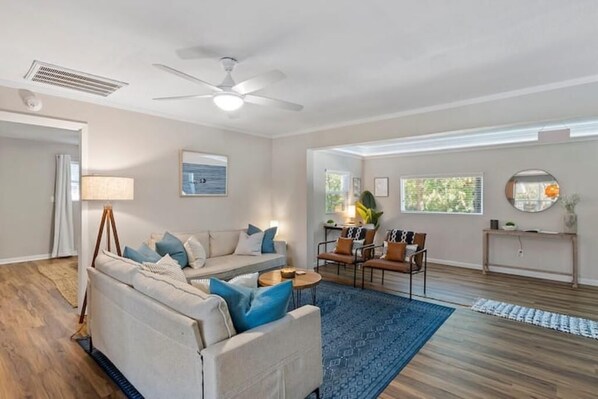 Smart TV, fireplace, books