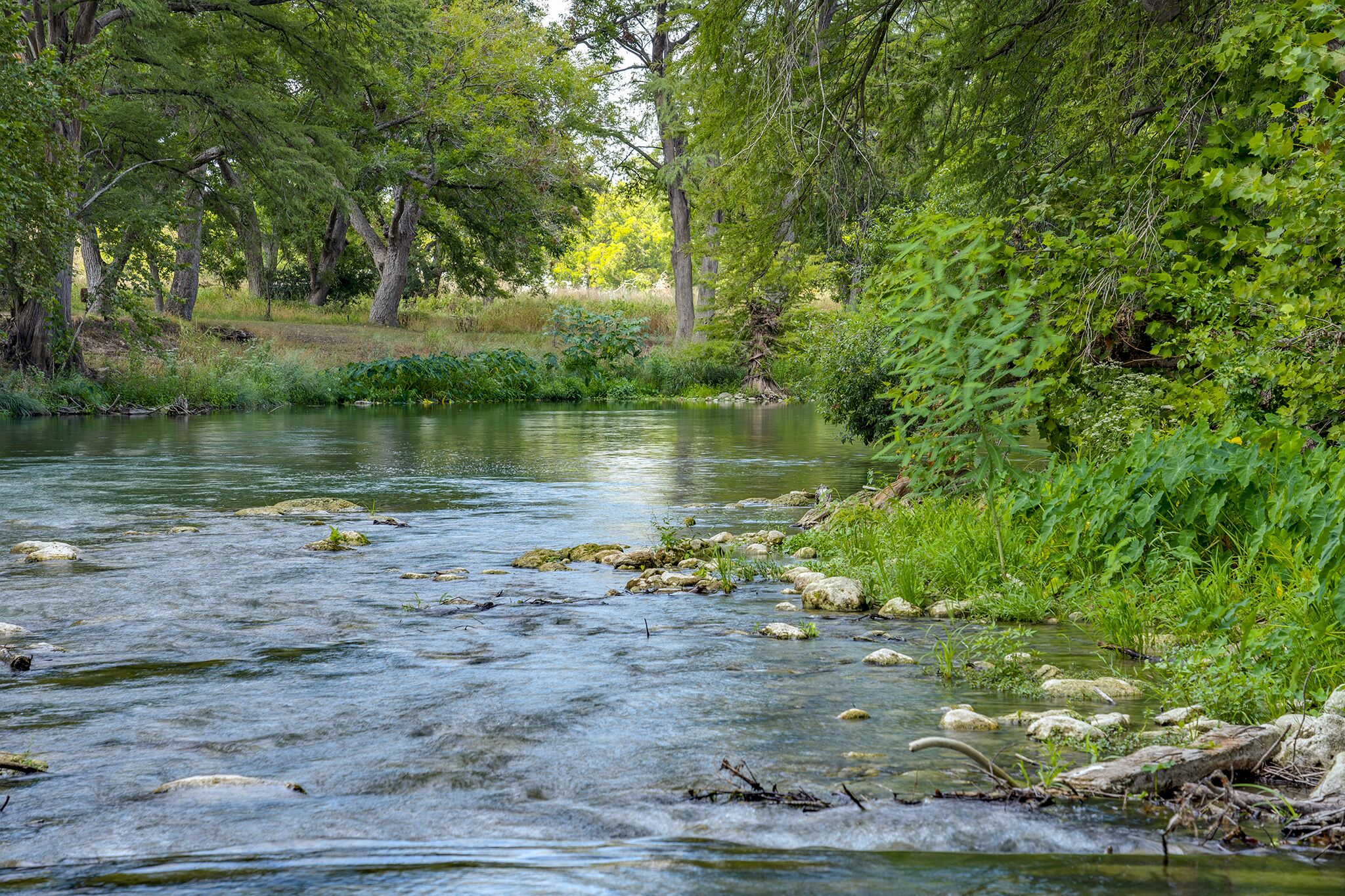 Une rivière paisible, bordée de rochers et d’une végétation luxuriante de chaque côté.