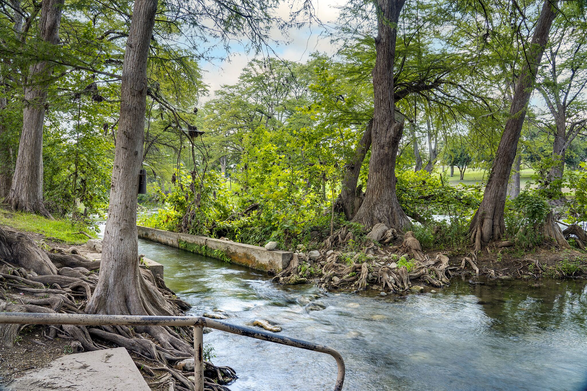 Une rivière bordée d’arbres et séparée par une barrière en béton.