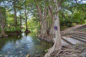 Een rustige rivier met helder water, omgeven door bomen met blootliggende wortels, en een betonnen trap die naar het water leidt.
