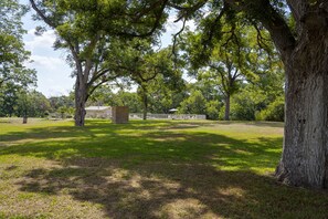 A park with large trees, a small building, and a grassy area.