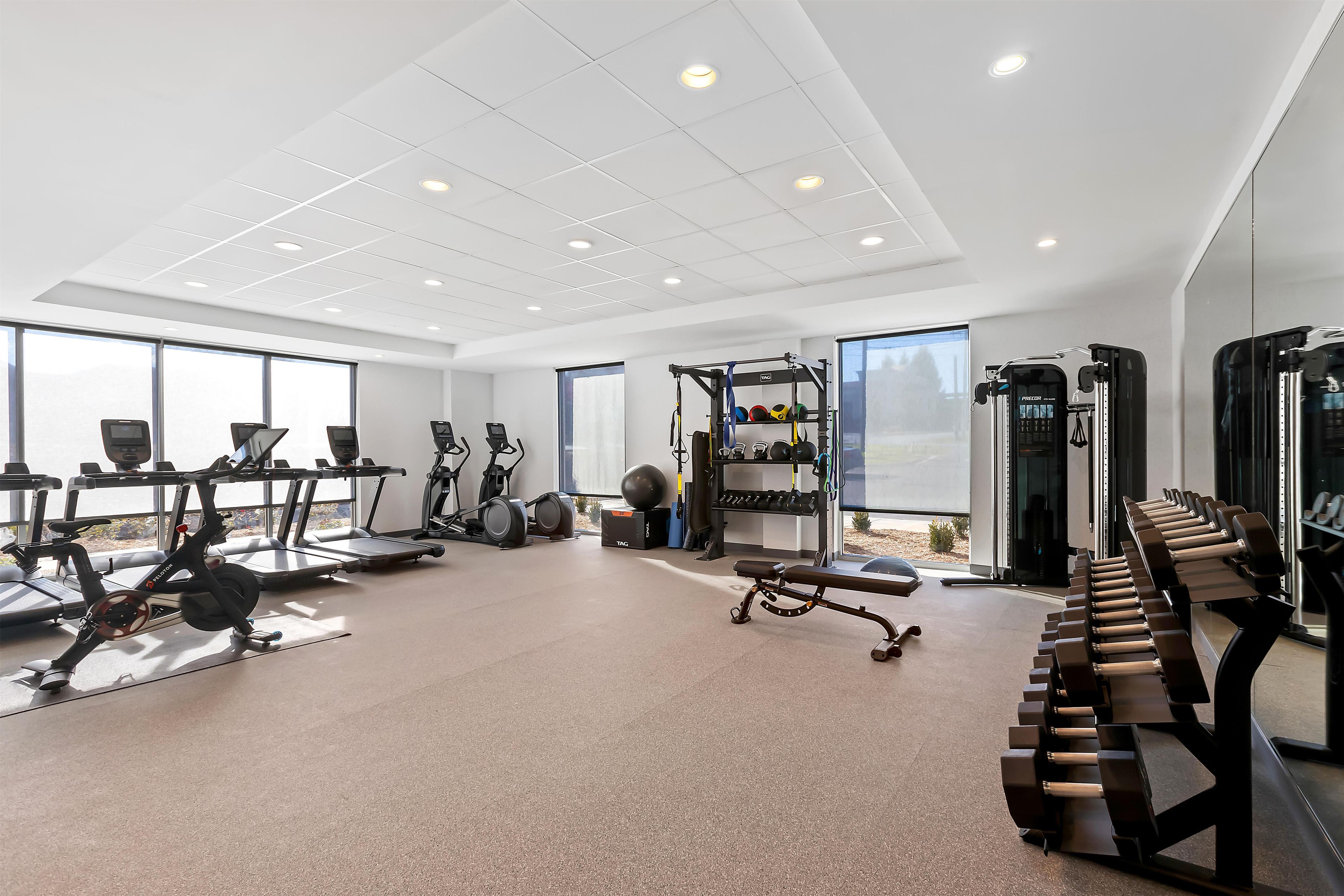A modern gym with treadmills, ellipticals, free weights, and a squat rack.