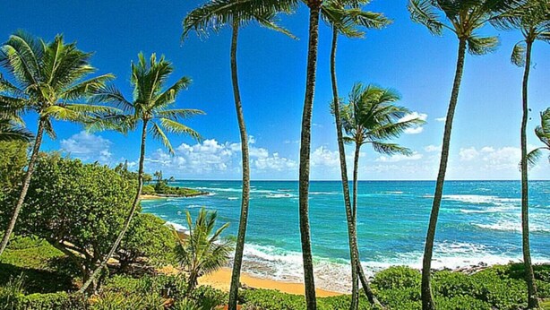 A beach with palm trees and ocean waves. - Luxury Gated Oceanfront Condo on Ground Floor (Kauai County)