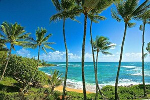 A beach with palm trees and ocean waves.
