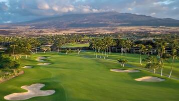 Golfe