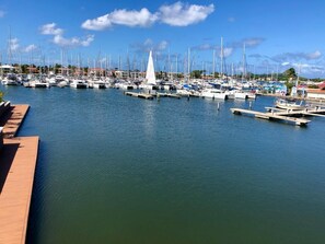 Port esportiu