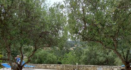 5 minute walk down to the historic village of Gavalochori.