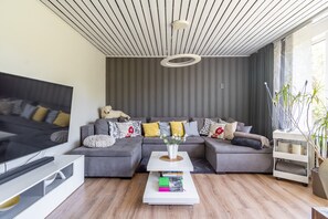 Smart TV, fireplace, books, offices