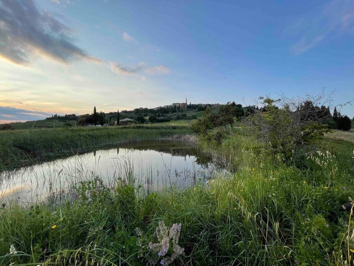 Eine natürliche Landschaft mit Teich, Wiesen und einem Gebäude in der Ferne.