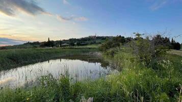 Eine natürliche Landschaft mit Teich, Wiesen und einem Gebäude in der Ferne.