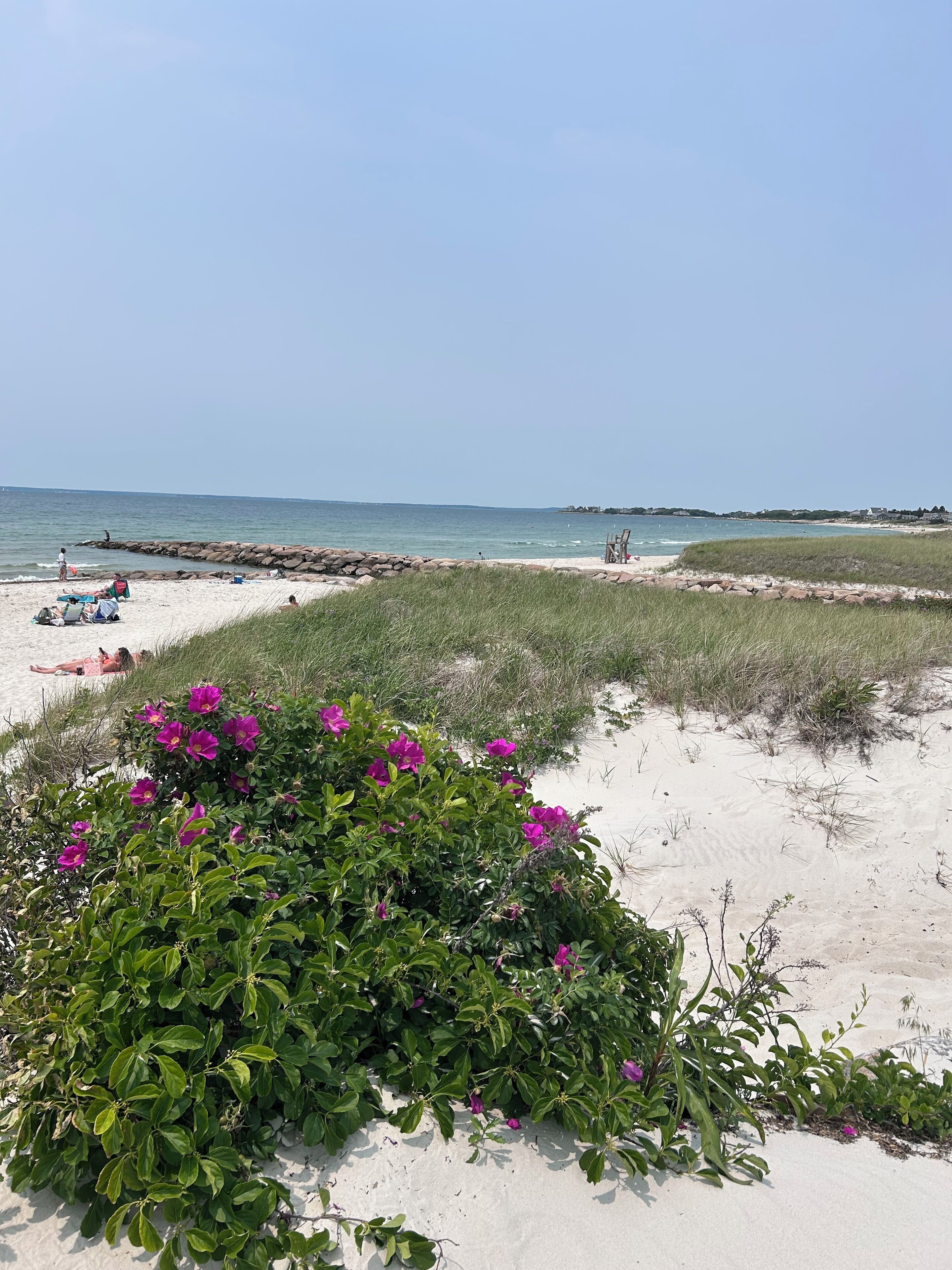 كراسي للتشمس