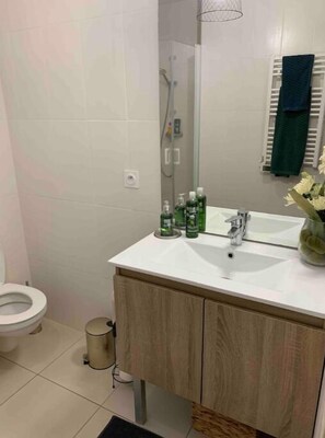 Douche, sèche-cheveux, serviettes fournies, papier toilette