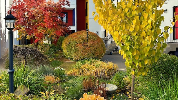Ein modernes Gebäude mit roter Tür, umgeben von einem gepflegten Garten mit verschiedenen Pflanzen und einem kleinen Baum mit gelben Blättern.